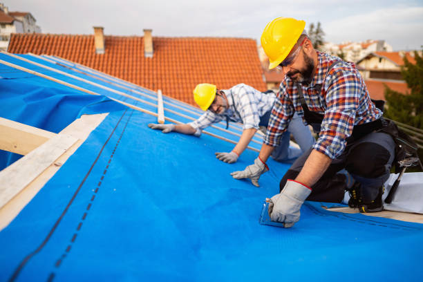 Best Emergency Roof Repair Services  in Alamae, NC